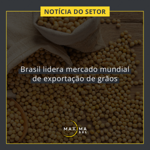 Brasil lidera mercado mundial de exportação de grãos